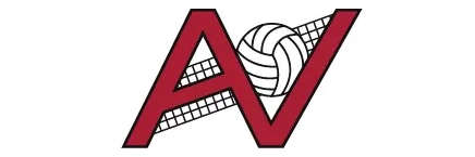 All Volleyball Logo